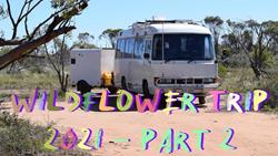 Wildflower trip 2021 - Part 2